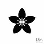 10 Circle inside Circle design 3