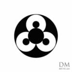 3 Circle inside Circle design 13