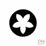 5 Circle inside Circle design 4