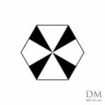 Hexagon in 12 equal parts design 2