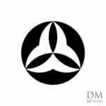 Hexagon inside Circle design 20