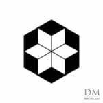 Hexagon inside Hexagon design 11