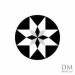 Line inside Circle design 11